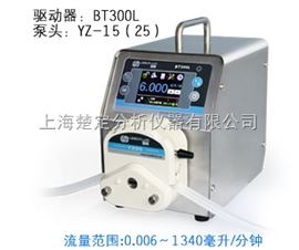 BT300LBT300L流量型智能蠕动泵